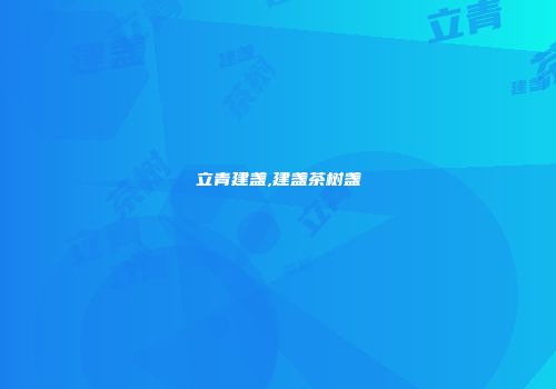 立青建盏,建盏茶树盏