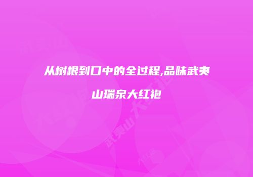 从树根到口中的全过程,品味武夷山瑞泉大红袍