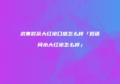 武夷岩茶大红袍口感怎么样「岩语问水大红袍怎么样」