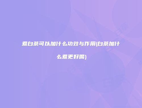 煮白茶可以加什么功效与作用(白茶加什么煮更好喝)