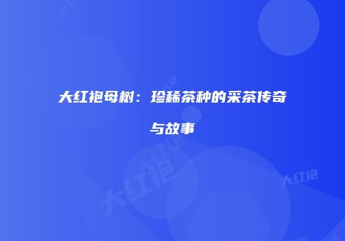 大红袍母树：珍稀茶种的采茶传奇与故事