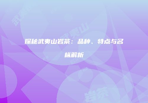 探秘武夷山岩茶：品种、特点与名枞解析