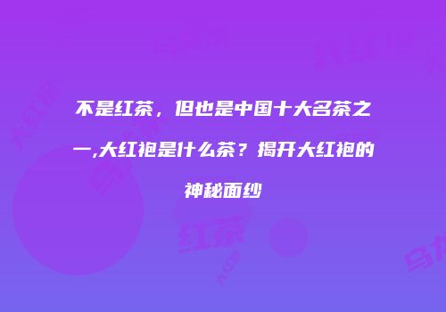 不是红茶，但也是中国十大名茶之一,大红袍是什么茶？揭开大红袍的神秘面纱
