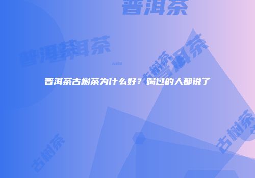 普洱茶古树茶为什么好？喝过的人都说了