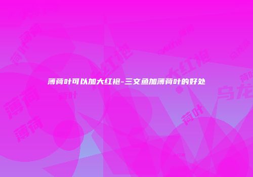 薄荷叶可以加大红袍-三文鱼加薄荷叶的好处
