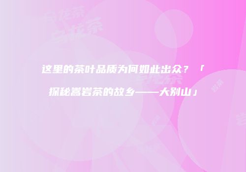 这里的茶叶品质为何如此出众？「探秘嵩岩茶的故乡——大别山」