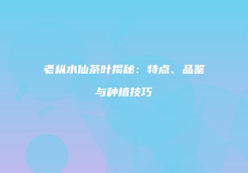 老枞水仙茶叶揭秘：特点、品鉴与种植技巧
