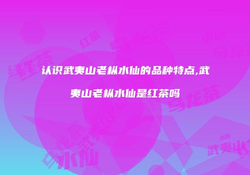 认识武夷山老枞水仙的品种特点,武夷山老枞水仙是红茶吗