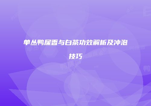 单丛鸭屎香与白茶功效解析及冲泡技巧