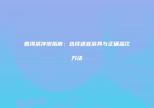 普洱茶冲泡指南：选择适宜茶具与正确品饮方法