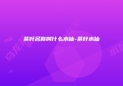 茶叶名称叫什么水仙-茶叶水仙