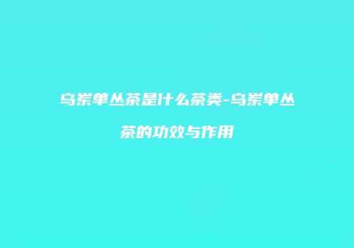 乌岽单丛茶是什么茶类-乌岽单丛茶的功效与作用
