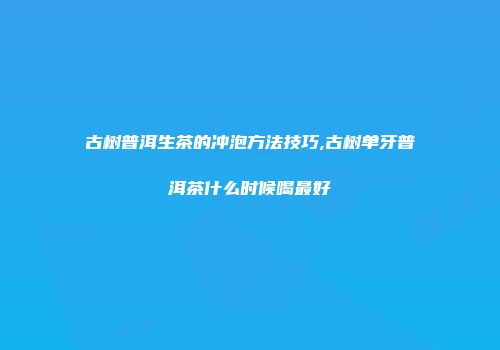 古树普洱生茶的冲泡方法技巧,古树单牙普洱茶什么时候喝最好