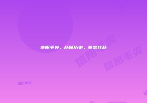信阳毛尖：品味历史，鉴赏佳品