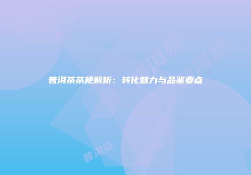 普洱茶茶梗解析：转化魅力与品鉴要点