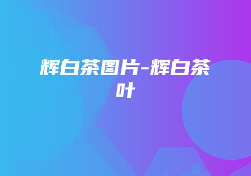 辉白茶图片-辉白茶叶