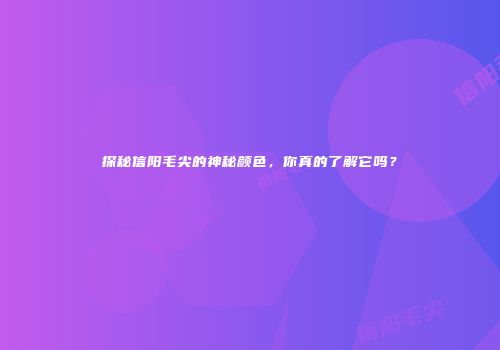 探秘信阳毛尖的神秘颜色，你真的了解它吗？