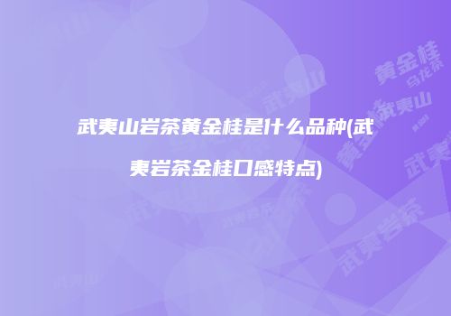 武夷山岩茶黄金桂是什么品种(武夷岩茶金桂口感特点)