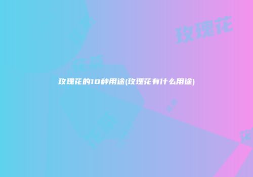 玫瑰花的10种用途(玫瑰花有什么用途)