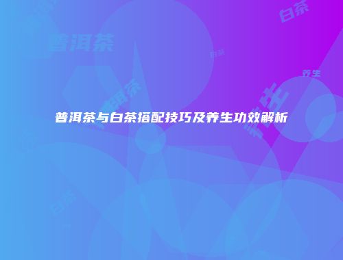 普洱茶与白茶搭配技巧及养生功效解析