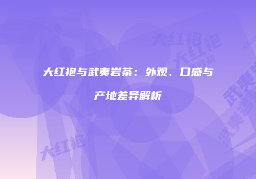 大红袍与武夷岩茶：外观、口感与产地差异解析