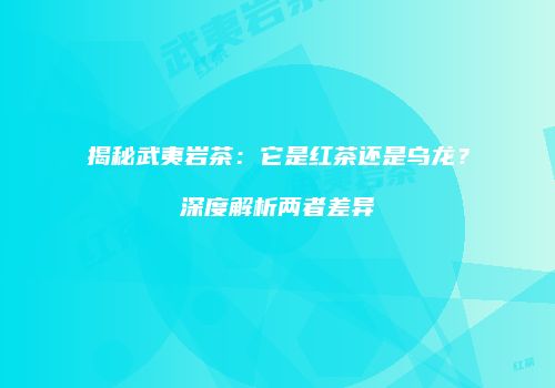 揭秘武夷岩茶：它是红茶还是乌龙？深度解析两者差异