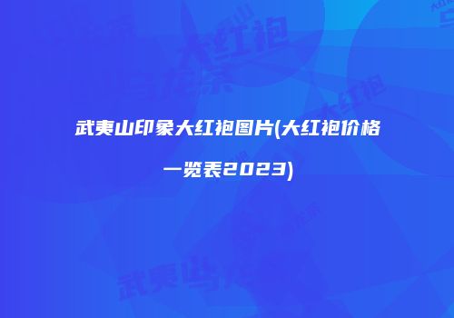 武夷山印象大红袍图片(大红袍价格一览表2023)