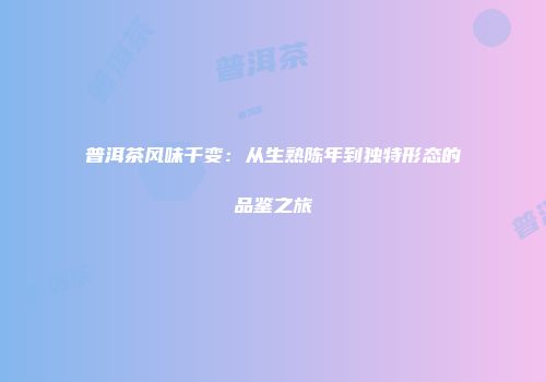普洱茶风味千变：从生熟陈年到独特形态的品鉴之旅