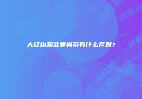 大红袍和武夷岩茶有什么区别？