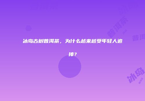 冰岛古树普洱茶，为什么越来越受年轻人追捧？