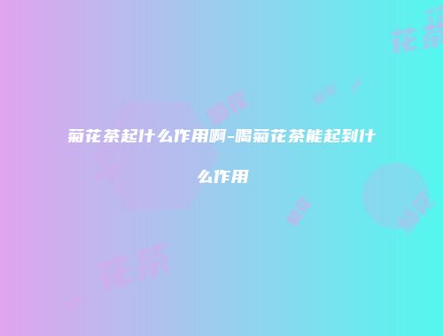 菊花茶起什么作用啊-喝菊花茶能起到什么作用