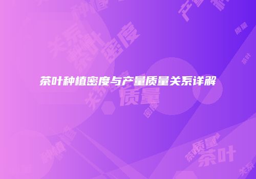 茶叶种植密度与产量质量关系详解