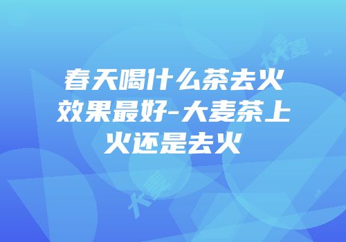 春天喝什么茶去火效果最好-大麦茶上火还是去火