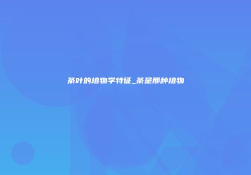 茶叶的植物学特征_茶是那种植物