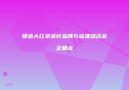 精选大红袍茶叶品牌与福建知名茶企盘点
