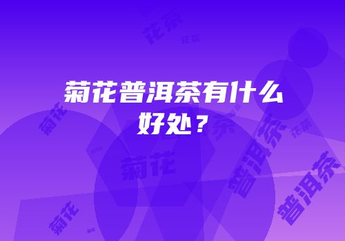 菊花普洱茶有什么好处？