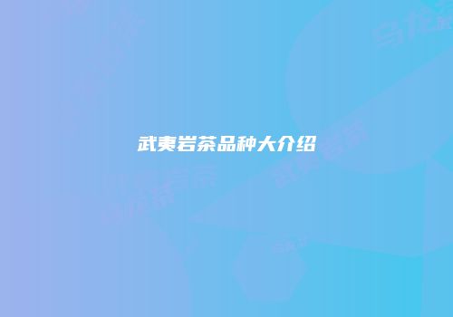 武夷岩茶品种大介绍