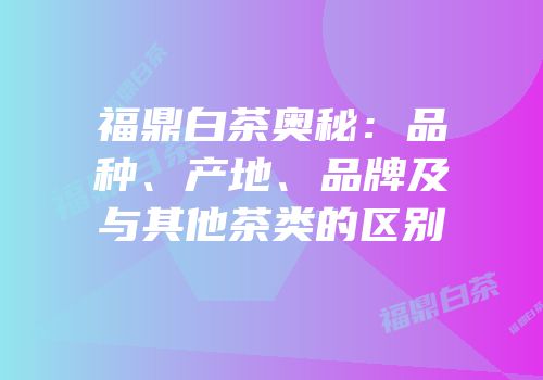 福鼎白茶奥秘：品种、产地、品牌及与其他茶类的区别