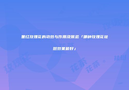 墨红玫瑰花的功效与作用及禁忌「哪种玫瑰花祛斑效果最好」
