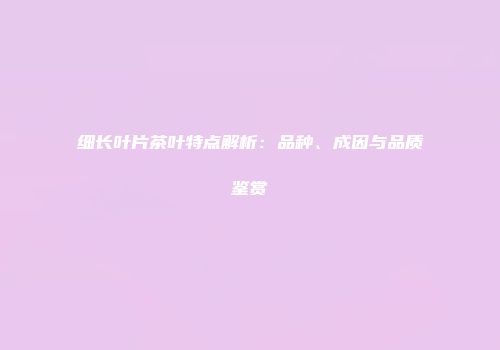 细长叶片茶叶特点解析：品种、成因与品质鉴赏