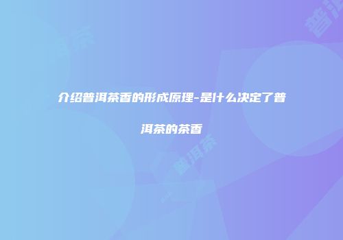 介绍普洱茶香的形成原理-是什么决定了普洱茶的茶香