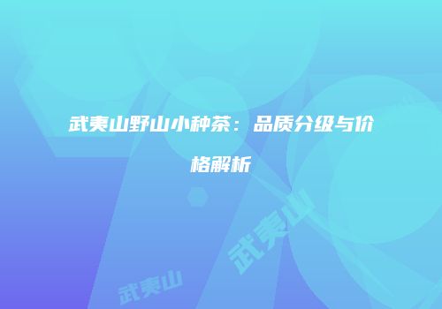 武夷山野山小种茶：品质分级与价格解析