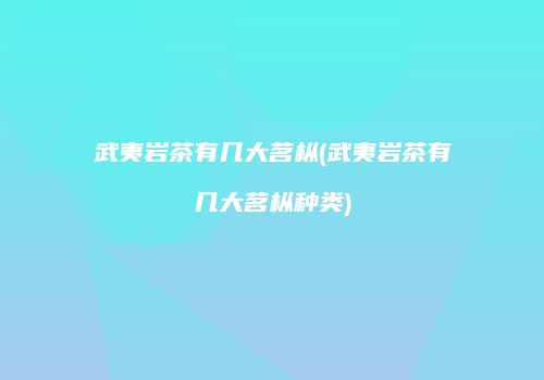 武夷岩茶有几大茗枞(武夷岩茶有几大茗枞种类)