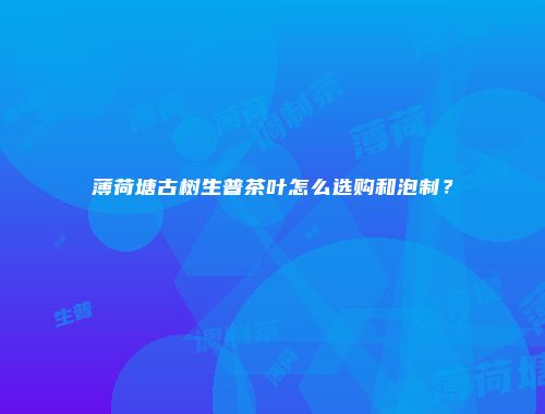 薄荷塘古树生普茶叶怎么选购和泡制？