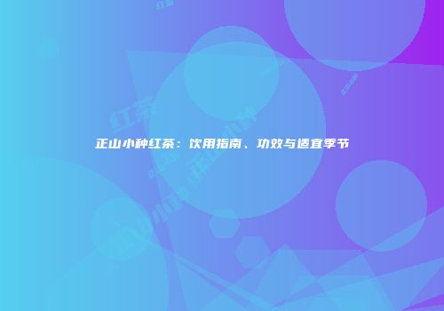 正山小种红茶：饮用指南、功效与适宜季节