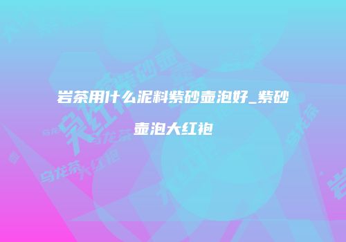 岩茶用什么泥料紫砂壶泡好_紫砂壶泡大红袍