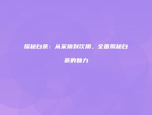 探秘白茶：从采摘到饮用，全面揭秘白茶的魅力