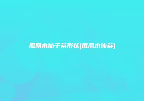 凤凰水仙干茶形状(凤凰水仙茶)