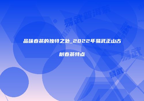 品味春茶的独特之处_2022年易武正山古树春茶特点