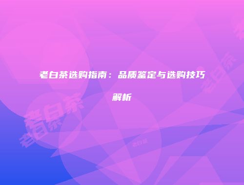 老白茶选购指南：品质鉴定与选购技巧解析